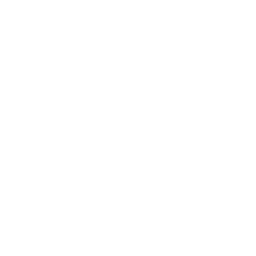 Dedicated Account Manager